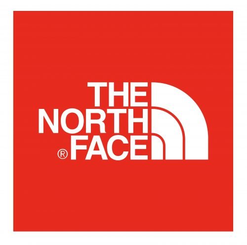 The North Face Logo 2010 to now